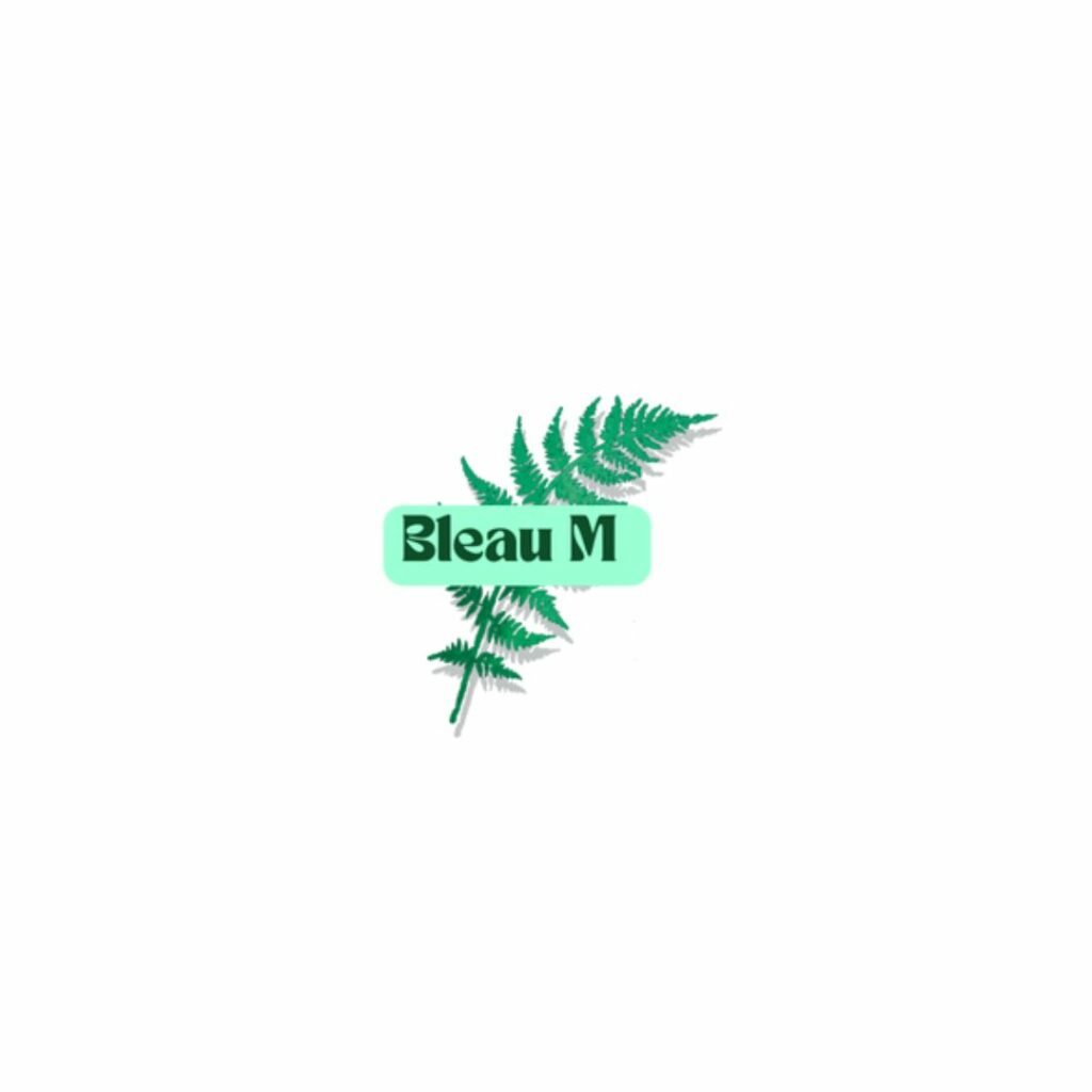 logo bleau m